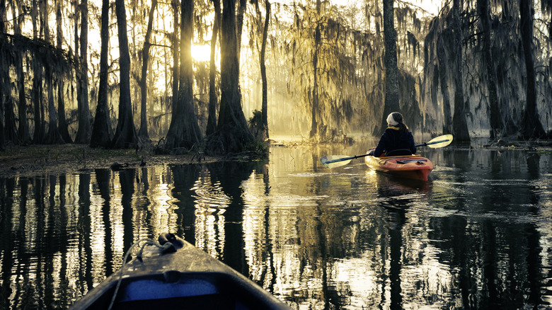 A person kayaking at Lake Martin, Breaux Bridge