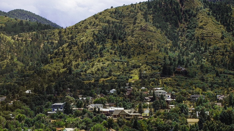 view of a residential area at the base of a small forested mountain