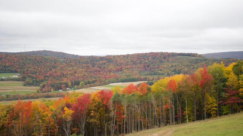 A beautiful fall view of Garrett County, Maryland