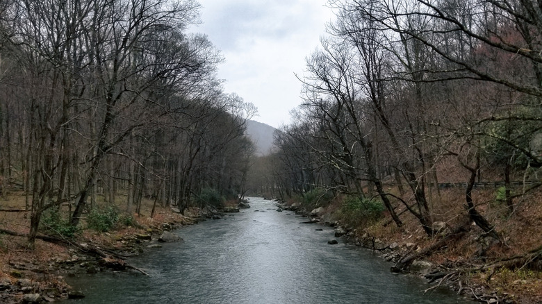 The Savage River in the fall