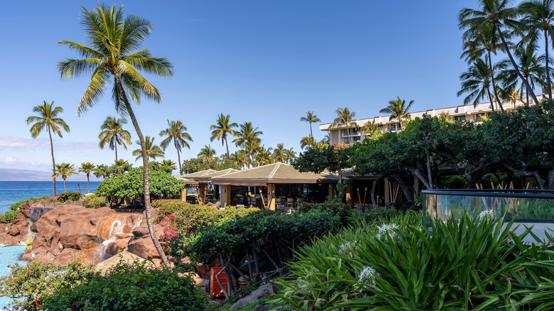 The pool at a Hyatt Regency in Lahaina, Hawaii, overlooks the Pacific ocean