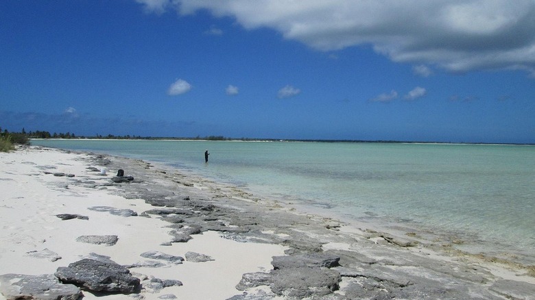 Beach on Mayaguana Island in The Bahamas