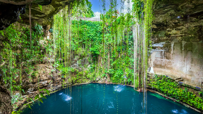 An empty cenote in the Yucatán Peninsula