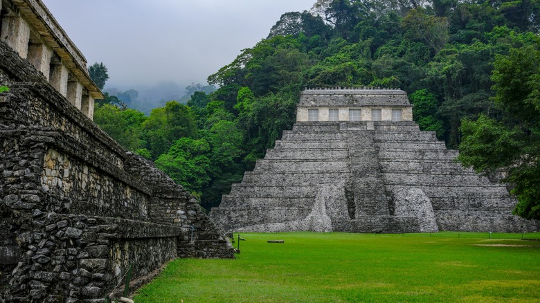 A Mayan temple nestled in the rainforest at Palenque, Chiapas