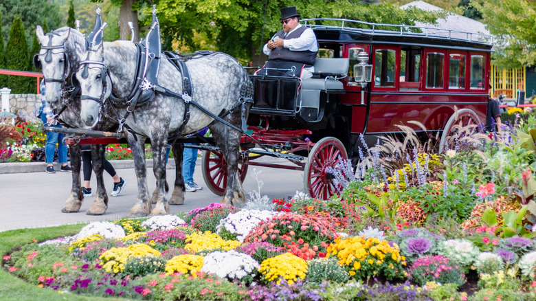 A horse and carriage on Mackinac Island
