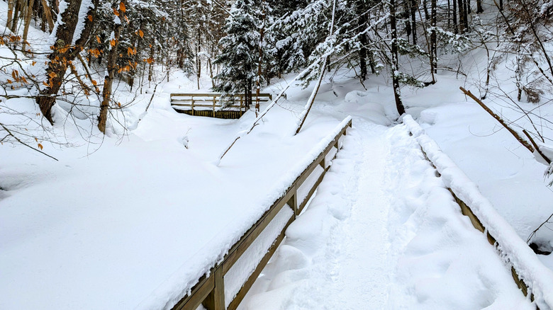 Snow-covered trails within Pictured Rock National Lakeshore