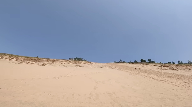 A view from the bottom of the 450-foot climb at Sleeping Bear Dunes National Lakeshore