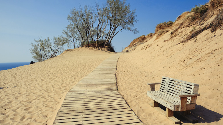 A bench and a path at Sleeping Bear Dunes National Lakeshore