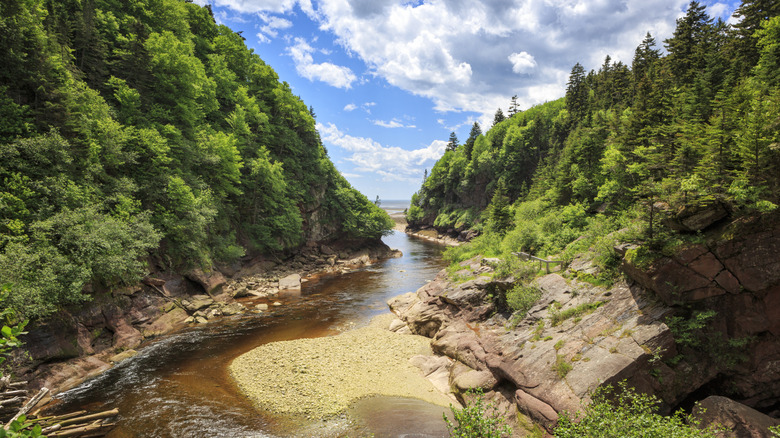 Point Wolfe at Fundy National Park