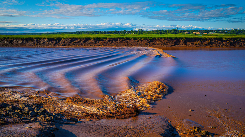 The tidal bore in the Petitcodiac River in Moncton
