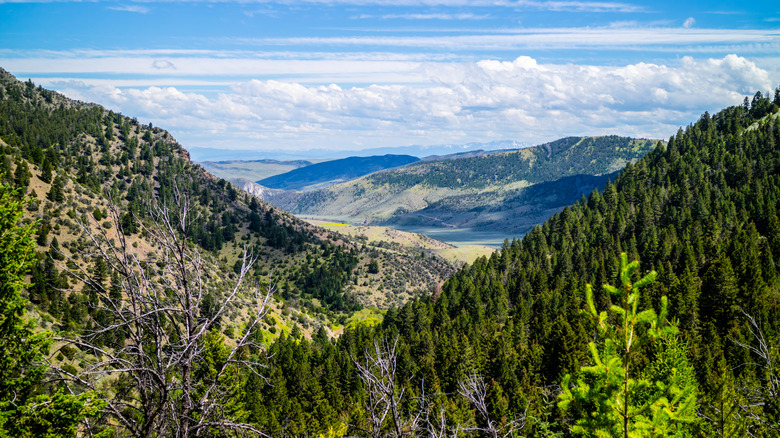Mountain view at Lewis and Clark Caverns State Park in Montana