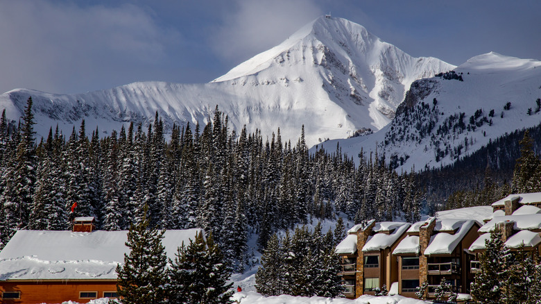 snow covered peak and pine trees in background, lodgings in foreground