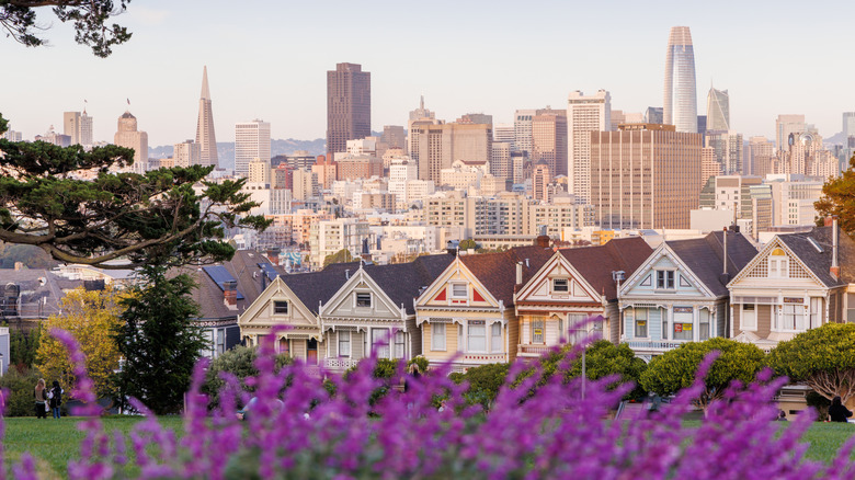 The Painted Ladies, flowers, and the San Francisco skyline