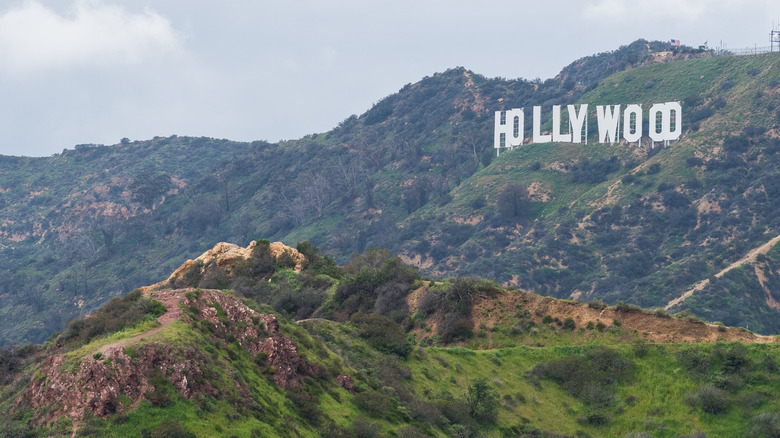 view of the hills beneath the hollywood sign