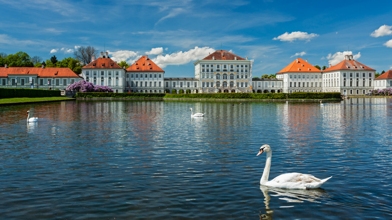 A swan in the lake in front of Nymphenburg Palace