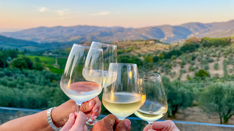 people toasting wine glasses with vineyards and mountains in the background