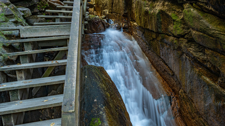 View of Flume Gorge along the Flume Trail