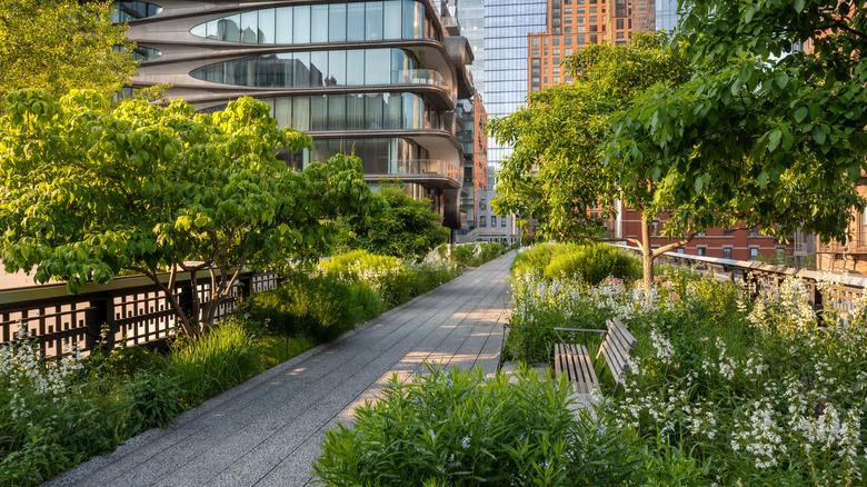 Landscaping and buildings around the High Line in Manhattan