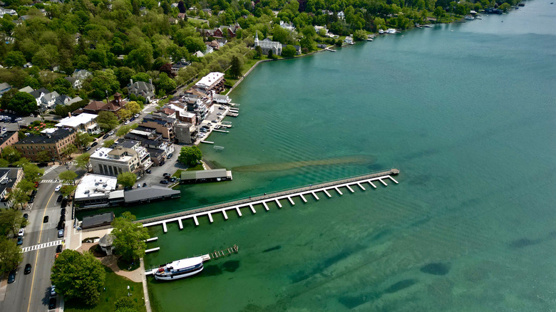 Aerial view of Skaneateles Lake, boat dock, surrounding buildings, and road.