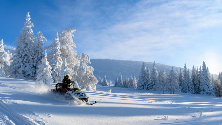 A man riding a snowmobile in a winter landscape.