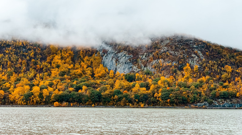 fall foliage along the river
