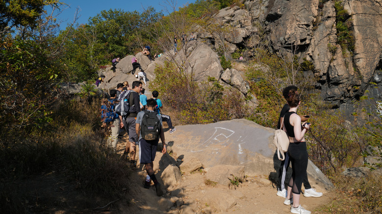 People climbing a rocky trail with trees and boulders