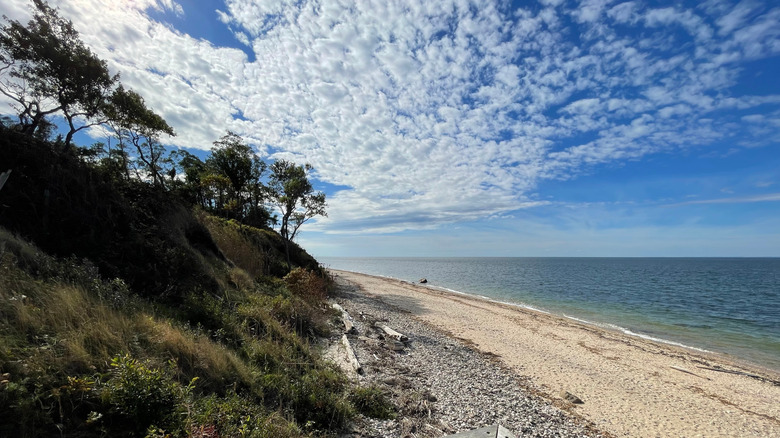 A view from the bluff overlooking a sandy beach