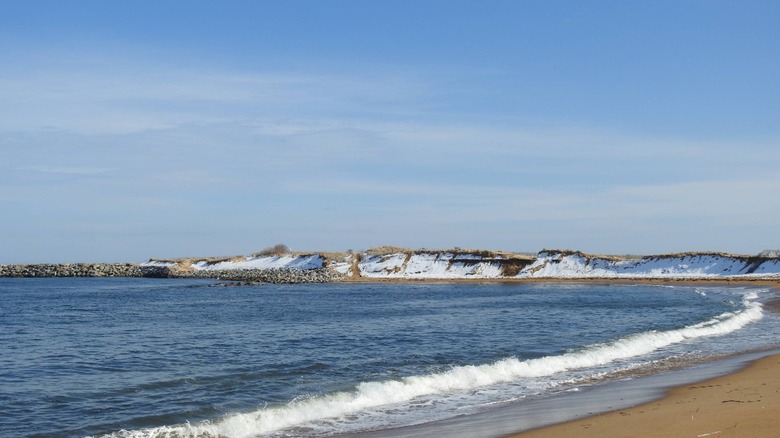 The sandy shores of Plum Island Beach in Newburyport