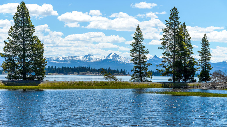 A spring view of Yellowstone Lake with a snow-capped mountain range in the background at Yellowstone National Park.