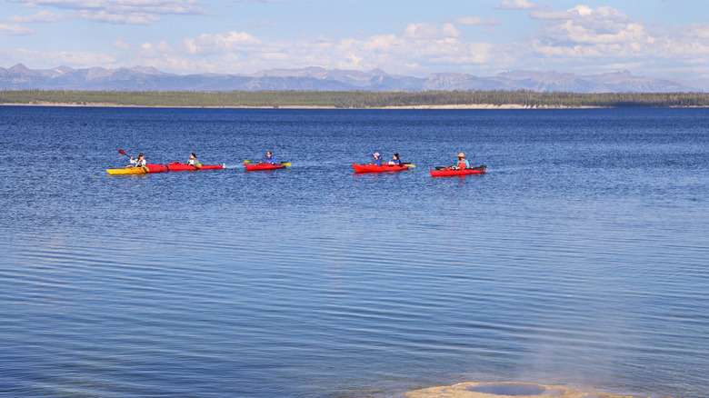 A group of kayakers enjoy the calm waters of Yellowstone Lake.