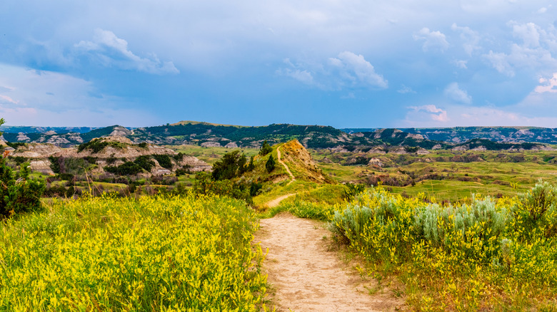 A trail in Theodore Roosevelt National Park