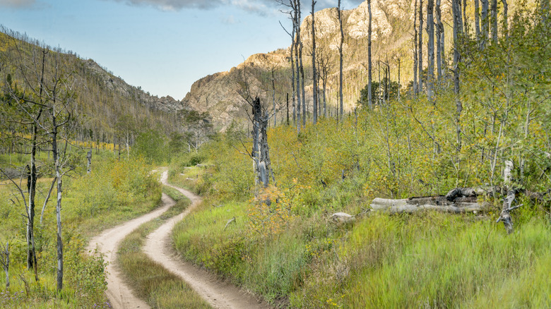 Part of the Medano Pass Road in Great Sand Dunes National Park
