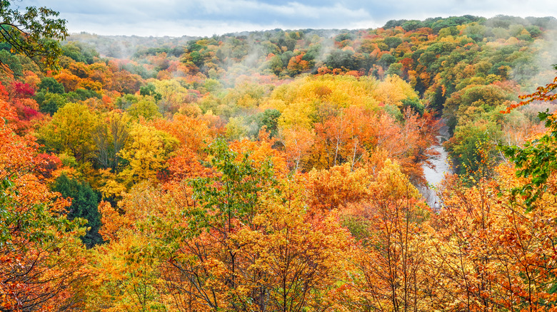 Fall foliage in Cuyahoga Valley National Park