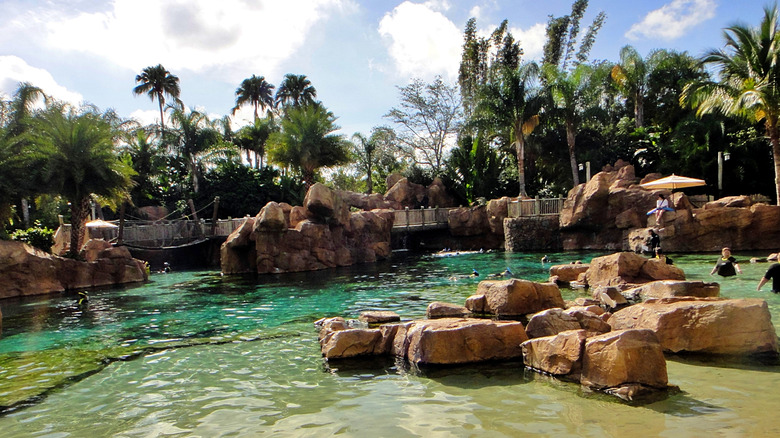 One of the water features at Discovery Cove in Florida