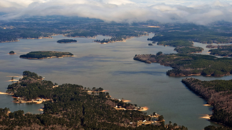 an aerial view of Lake Martin's rocky, tree-lined shore and coves in Alabama