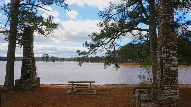 A serene picnic area at Wind Creek State Park on the shore of Lake Martin, in Alabama