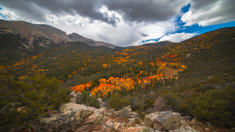 view from the top of a mountain overlooking foliage on a sunny day