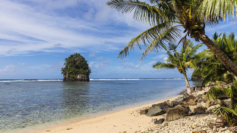 Coastal sand dunes at National Park of American Samoa