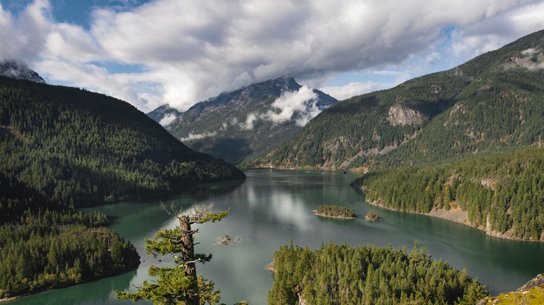 A picturesque view of Lake Ross surrounded by mountains