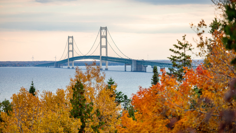 The Mackinac Bridge, with fall foliage in the foreground