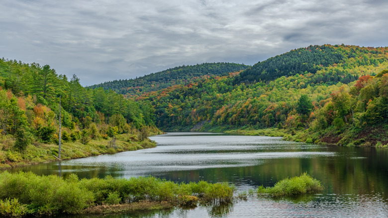 A river flowing through the Green Mountain National Forest, Vermont