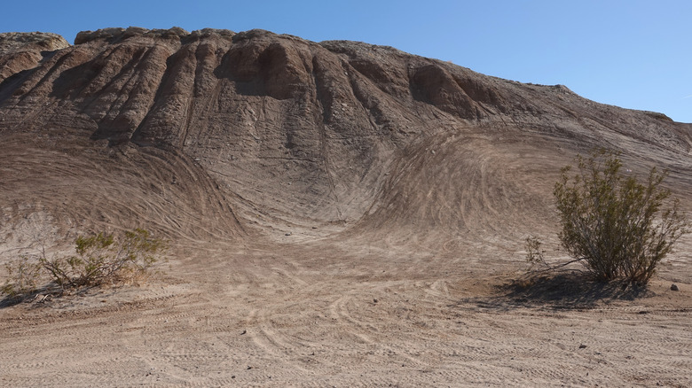 Tire tracks in the sand show people attempting steep hills in Ocotillo Wells State Vehicular Recreation Area in Borrego Springs, California
