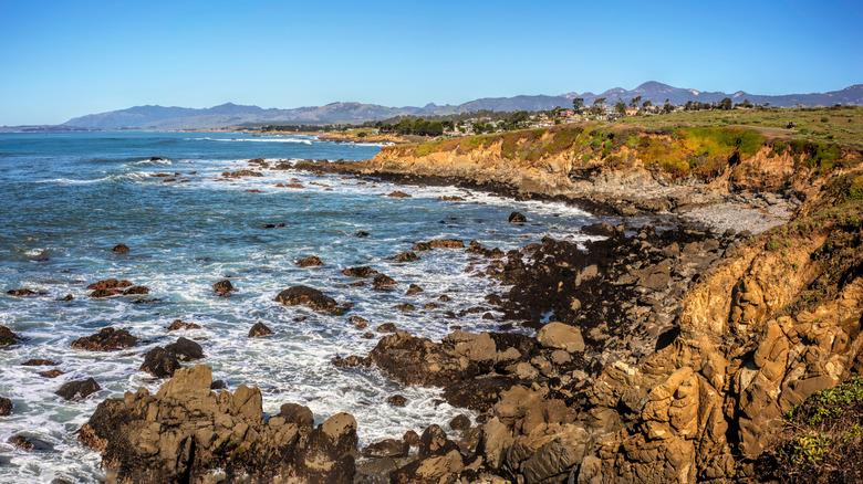 The Bluff Trail at Fiscalini Ranch Preserve in Cambria, California