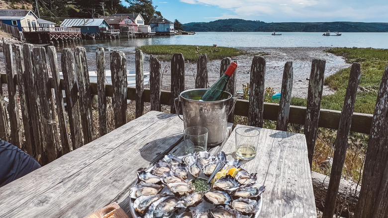 Oysters served on a platter at wooden table with bucket of champagne overlooking water in Bodega Bay.
