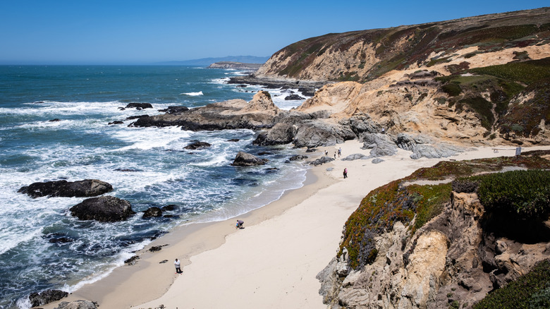 View of white sand beach and ocean with Bodega Head in the foreground on clear day.