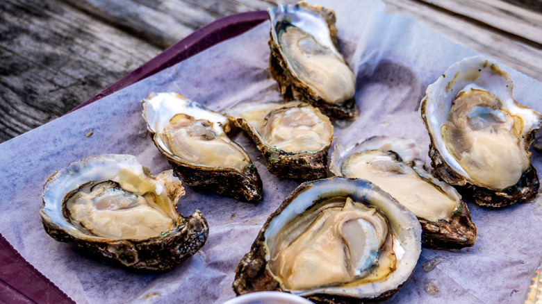 World famous Apalachicol oysters on the half shell