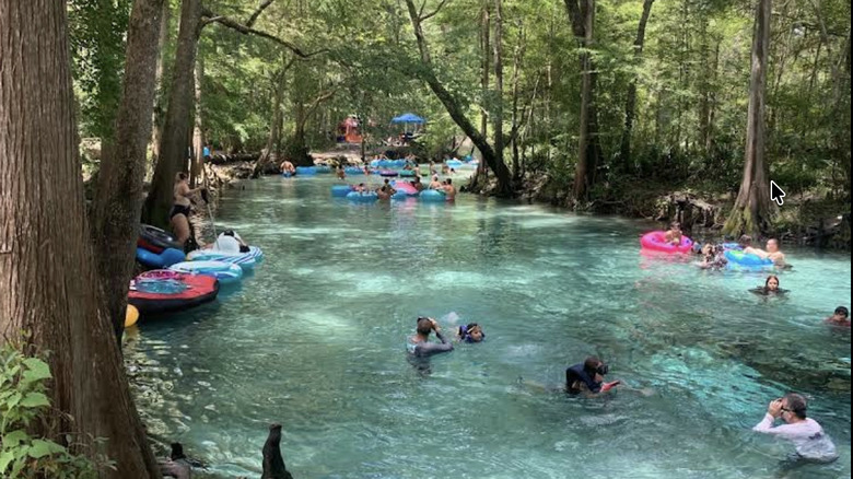 Visitors tubing and splashing at Ichetucknee Springs State Park in Florida