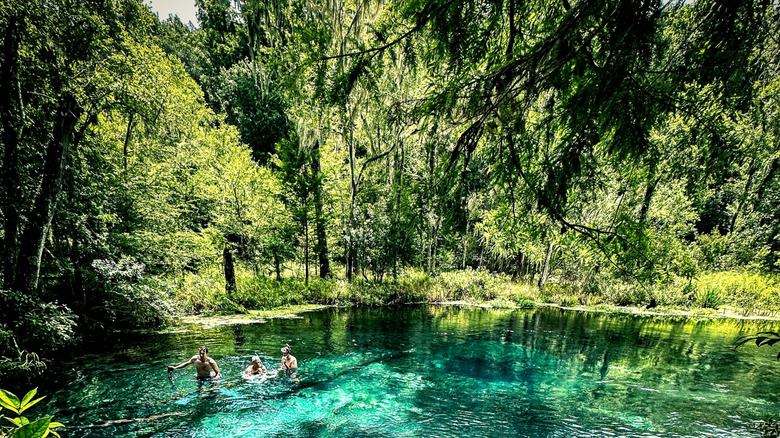Three people in the water at the "Jug Hole" (Blue Hole) of Ichetucknee Springs State Park