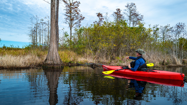 Person kayaking in Okefenokee Swamp in Florida