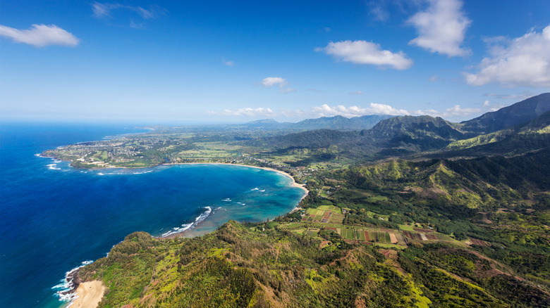 Ariel view of Hanalei Bay, Hawaii